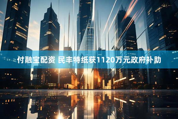 付融宝配资 民丰特纸获1120万元政府补助